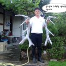 주영농장 이미지