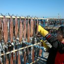 오늘의 포토뉴스[06/11/09] 이미지