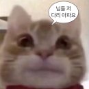 돈내놔