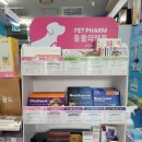 바른온누리약국 이미지