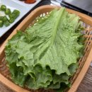 도안칼국수 이미지