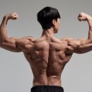 윌 피티 짐 네이버블로그