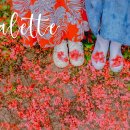 5월3일(일) 전주 이팝나무철길/ 팔복예술공장.. # Palette (IU) 이미지