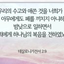 흠없는 암컷을 끌어다가3 이미지