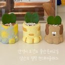 안성시보건소 | 힙팟 화분 만들기 │ 안성시 보건소 임신부 출산준비교실