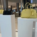 (주)반센 | 5월에 쓰는 4월 위시리스트 가방 위시 청산..? 더로우,자크뮈스,에토스 | 그립톡, 아식스 세실리에반센