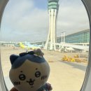 진성미디어 | 오타쿠들끼리 도쿄가면 벌어지는 일(w/하치와레)