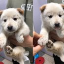 태성1리 이미지