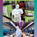 버스 대절로 효율적인 여행 만들기! 완벽한 대절 여행 가이드 2025