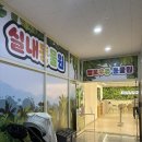 헬로우쥬 카페 이미지