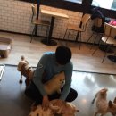 코코드림 이미지