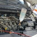 영성카모터스 이미지