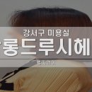 살롱드루시 이미지