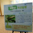 내장산관광안내소 이미지