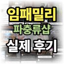 패밀리 | 다대포 최초 비주류 파충류샵 "임패밀리 실제 후기"
