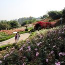 도당공원 이미지