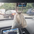 픽세이션 | 픽세이션ㅣ 파우치형 사쉐 내돈내산 후기