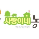 사랑이네식당 이미지