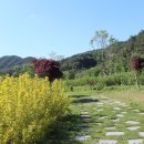 북비산약국 이미지