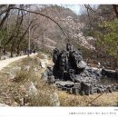 그린세탁 이미지