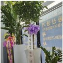 행정사 김현수사무소 이미지