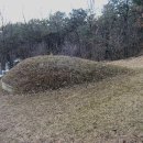 기준선생묘 이미지