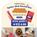 덴탈왕 | 내돈내산 후기) 네이처트레이스 강아지 스파이더웹 덴탈바