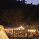 구름포해변캠핑장 이미지