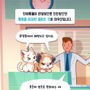 디엔씨동물병원 이미지