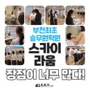 강남스카이학원