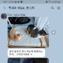 학익동물병원 이미지