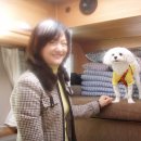 주식회사 서연 이미지