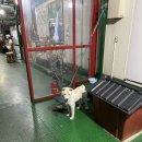 (주)수성파크랜드 이미지