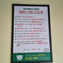 버블독스(안산초지점) 이미지
