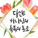 싹난지팡이 이미지