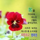 행복한3월 이미지