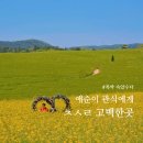 아내가 반한 청보리밭 드라마 촬영지