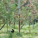 베다니농장 이미지