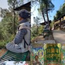 태양유통 이미지