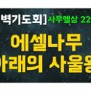 에셀나무아래