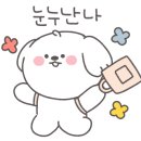 풍동 동물병원 이미지