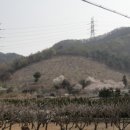 은해 농장 네이버블로그