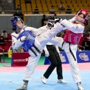 영천시청 이미지