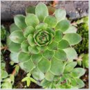 예쁜집펜션 이미지