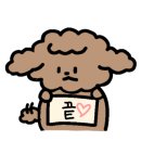 통일애견 이미지