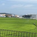 울산 청량읍 수도작 항공 방제 작업을 대구드론스쿨과 함께....