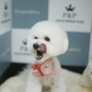 피엔피PC 이미지