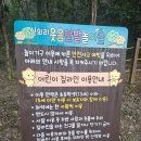 만발 | 화성 새솔동 숨은명소! 자연 숲놀이터 &#39;웃음만발놀이숲&#39; 후기