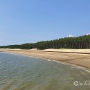 서천 뉴스스토리