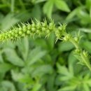 선학초등학교 이미지